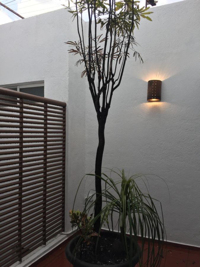 מקסיקו סיטי Residence Las Trojes Cdmx מראה חיצוני תמונה